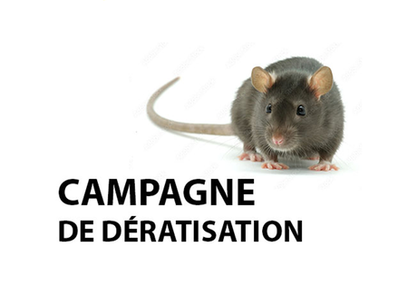 Illustration de l'actualité - cliquer pour agrandir